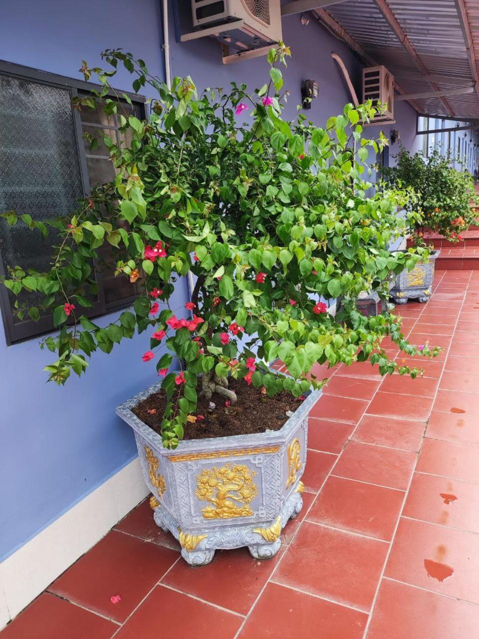 Lavender Garden Phu Quoc Hotel Exterior photo