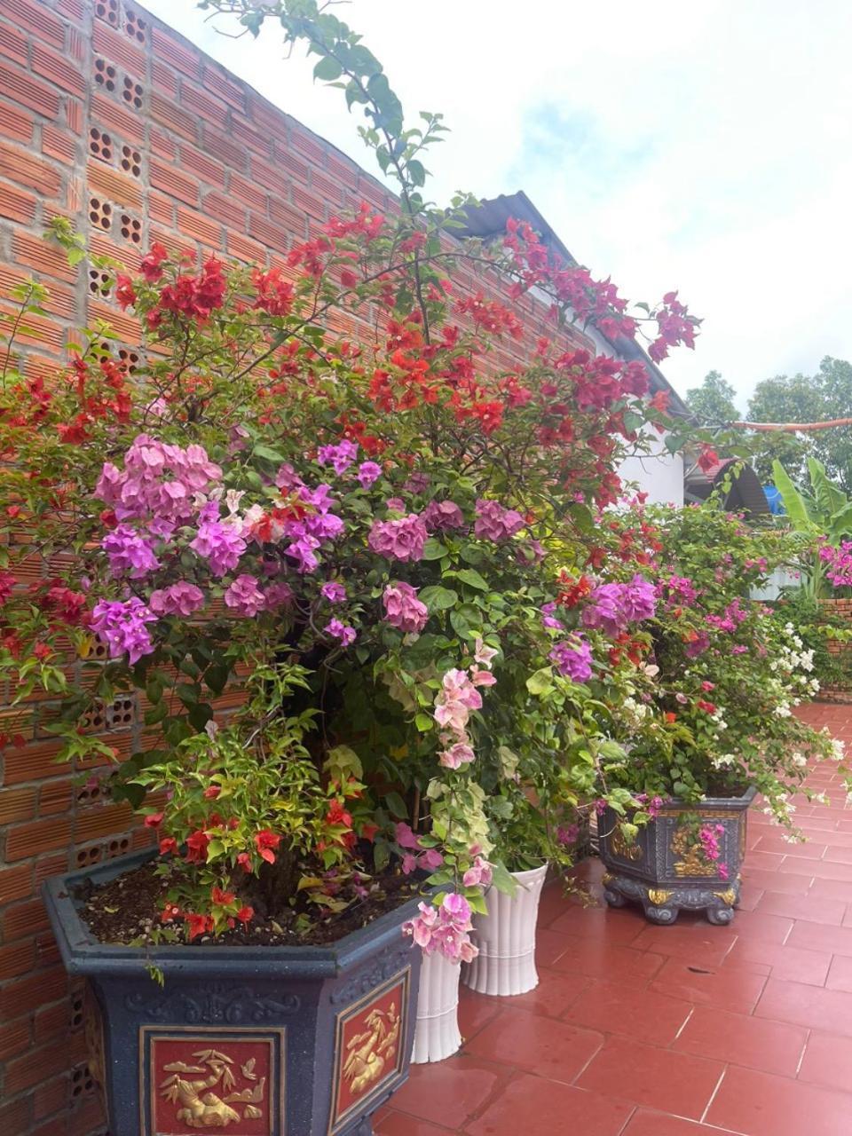 Lavender Garden Phu Quoc Hotel Exterior photo