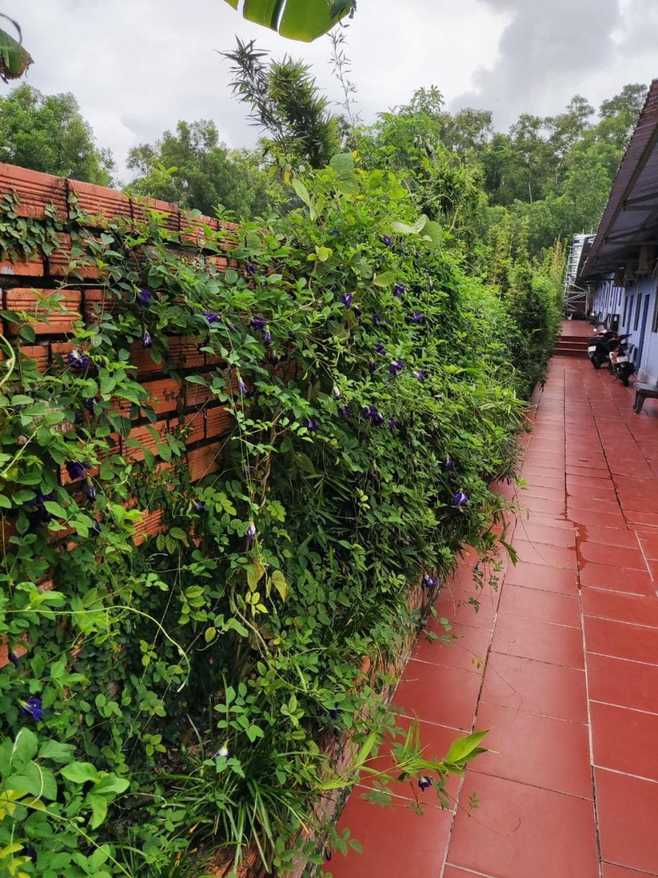 Lavender Garden Phu Quoc Hotel Exterior photo
