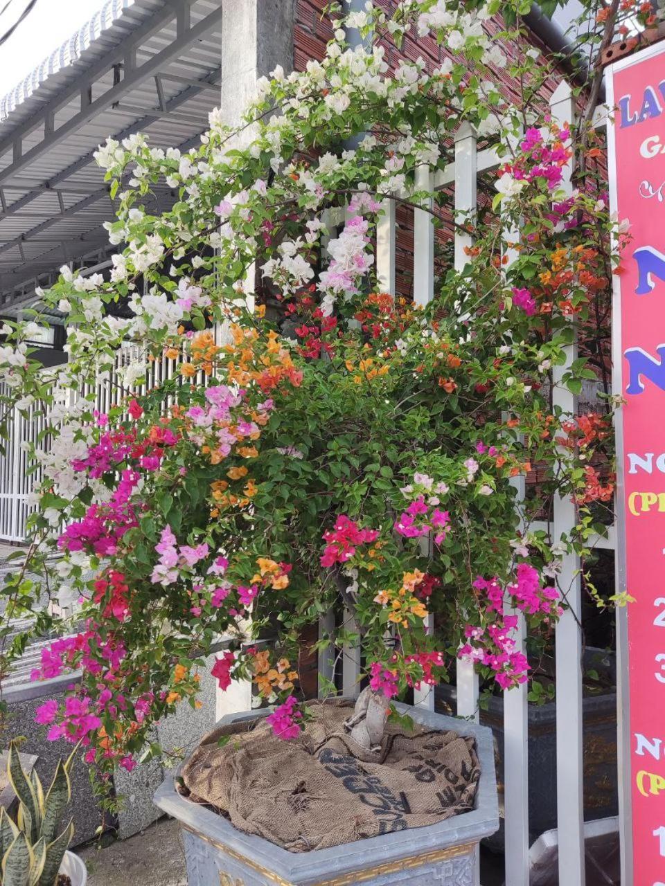 Lavender Garden Phu Quoc Hotel Exterior photo