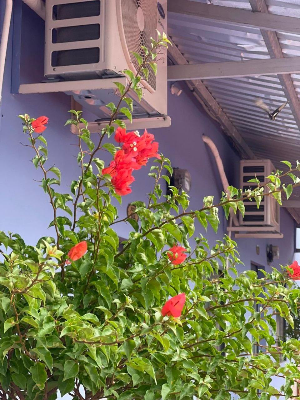 Lavender Garden Phu Quoc Hotel Exterior photo