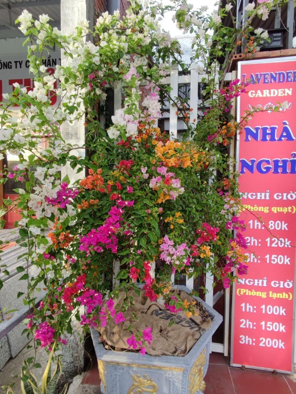 Lavender Garden Phu Quoc Hotel Exterior photo